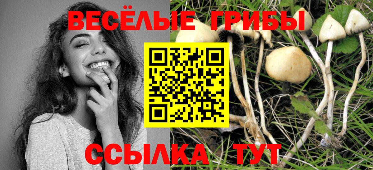 Галлюциногенные грибы ЛСД Озёрск